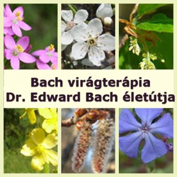 Bach virágterápia – Dr. Edward Bach életútja